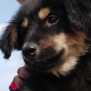 Meet your Posher, Manisha